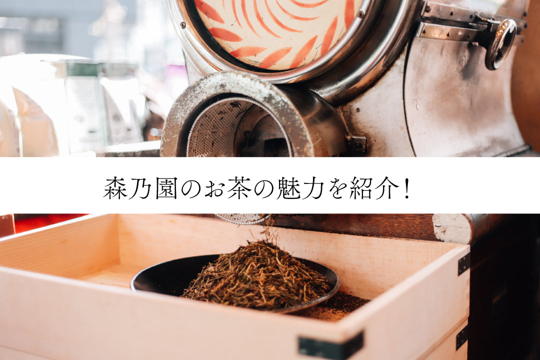 茶の歳時記 VHS 専用ケース付き 茶の歳時記 VHS 専用ケース付き 茶の歳時記 VHS 専用ケース付き