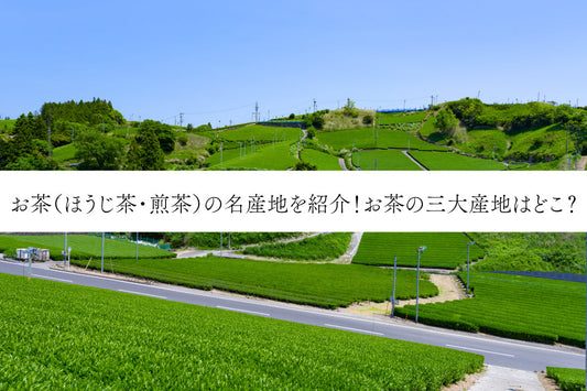 お茶(ほうじ茶・煎茶)の名産地を紹介!お茶の三大産地はどこ?