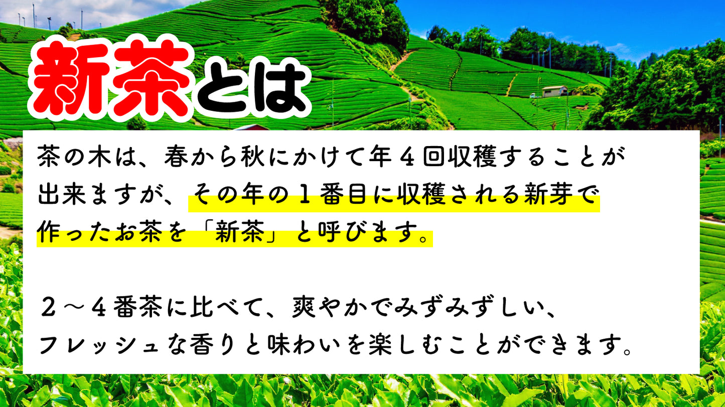 屋久島の新茶