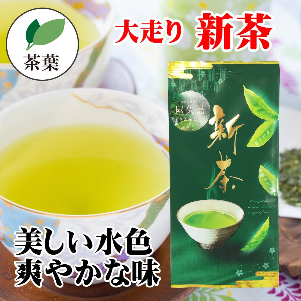 屋久島の新茶