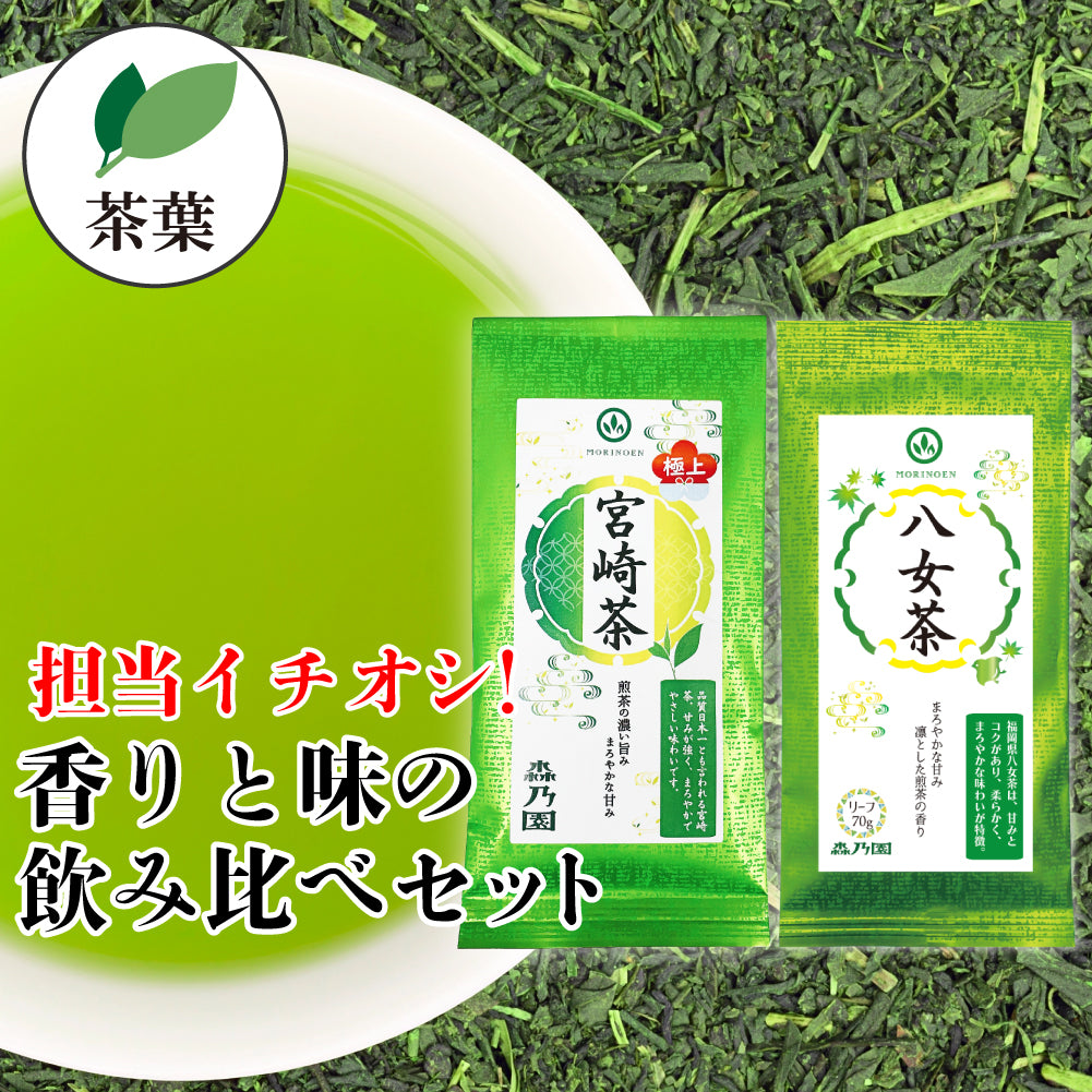 担当イチオシ!煎茶おすすめセット(極上宮崎茶・八女茶)