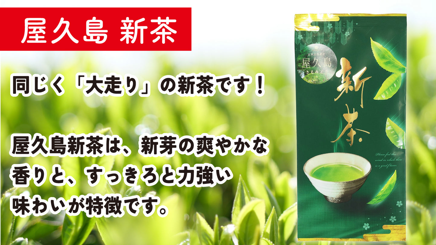 屋久島の新茶