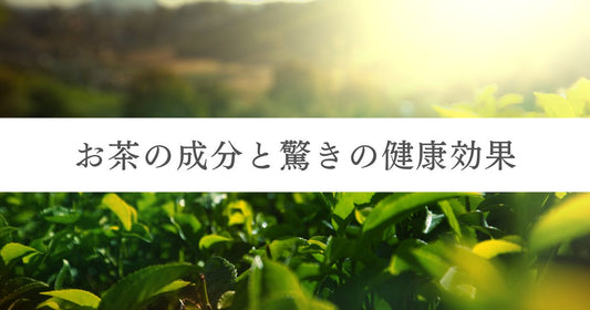 【完全版】お茶の成分と驚きの健康効果｜悩み別の選び方や抽出温度