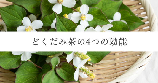 どくだみ茶の4つの効能｜デメリットや期待される働き