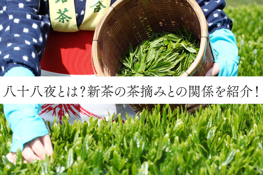 八十八夜とは？新茶の茶摘みとの関係を紹介！