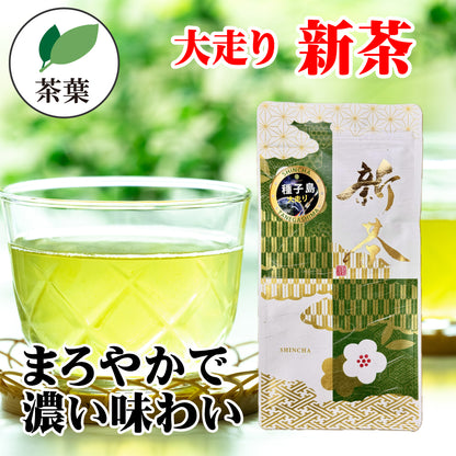 種子島の新茶