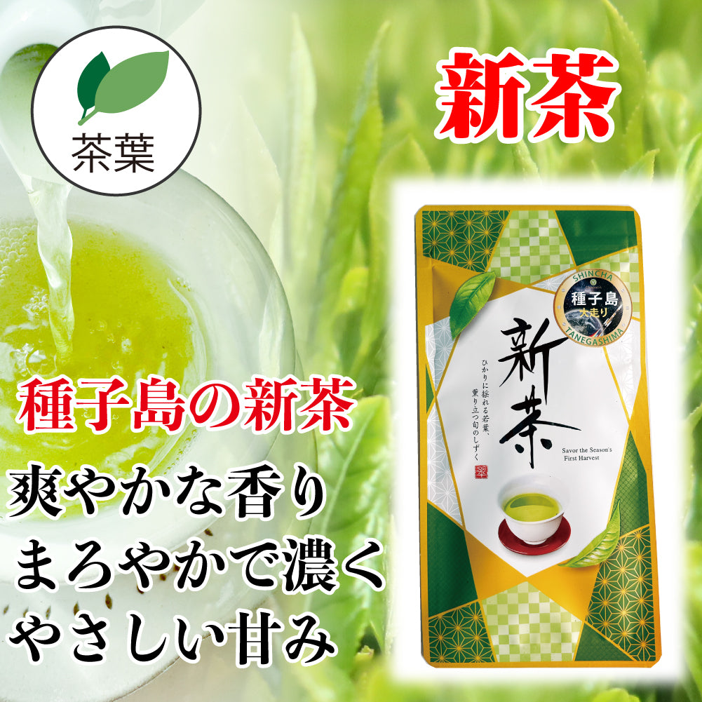 種子島の新茶