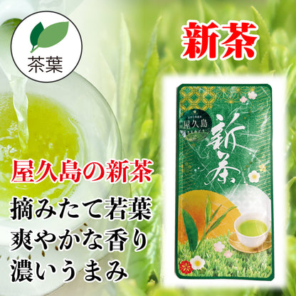 屋久島の新茶