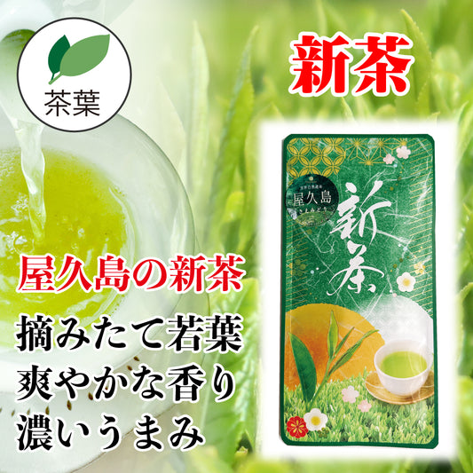 屋久島の新茶